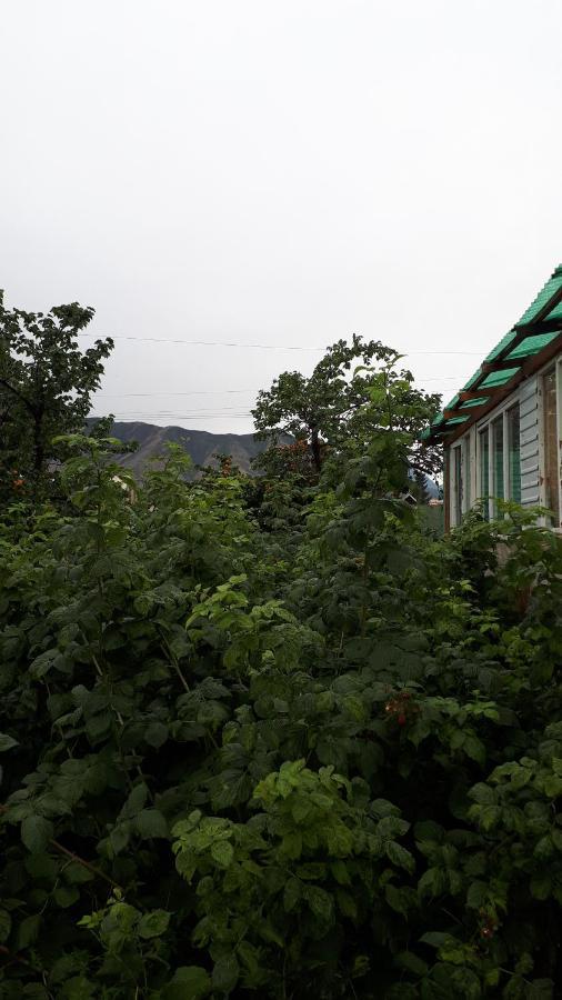 Hotel Nurgul Bokonbayevo Exteriér fotografie